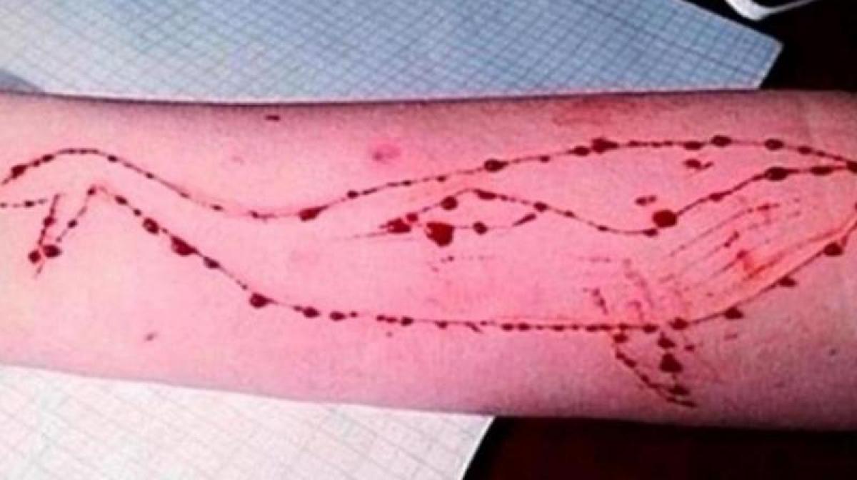 Pune: Teenager leaves home for Blue Whale challenge; rescued